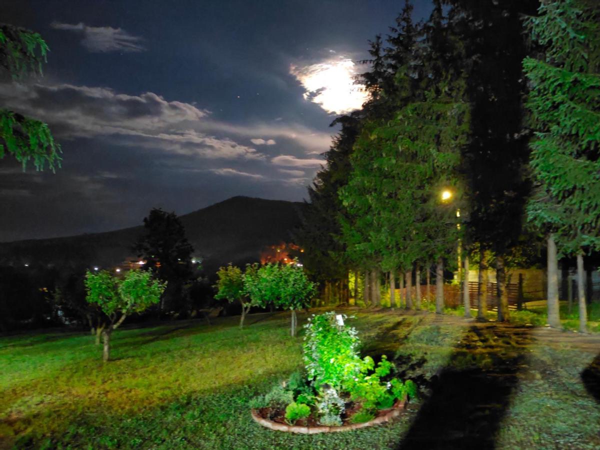 Vila Jezerski Raj Borsko Jezero ภายนอก รูปภาพ