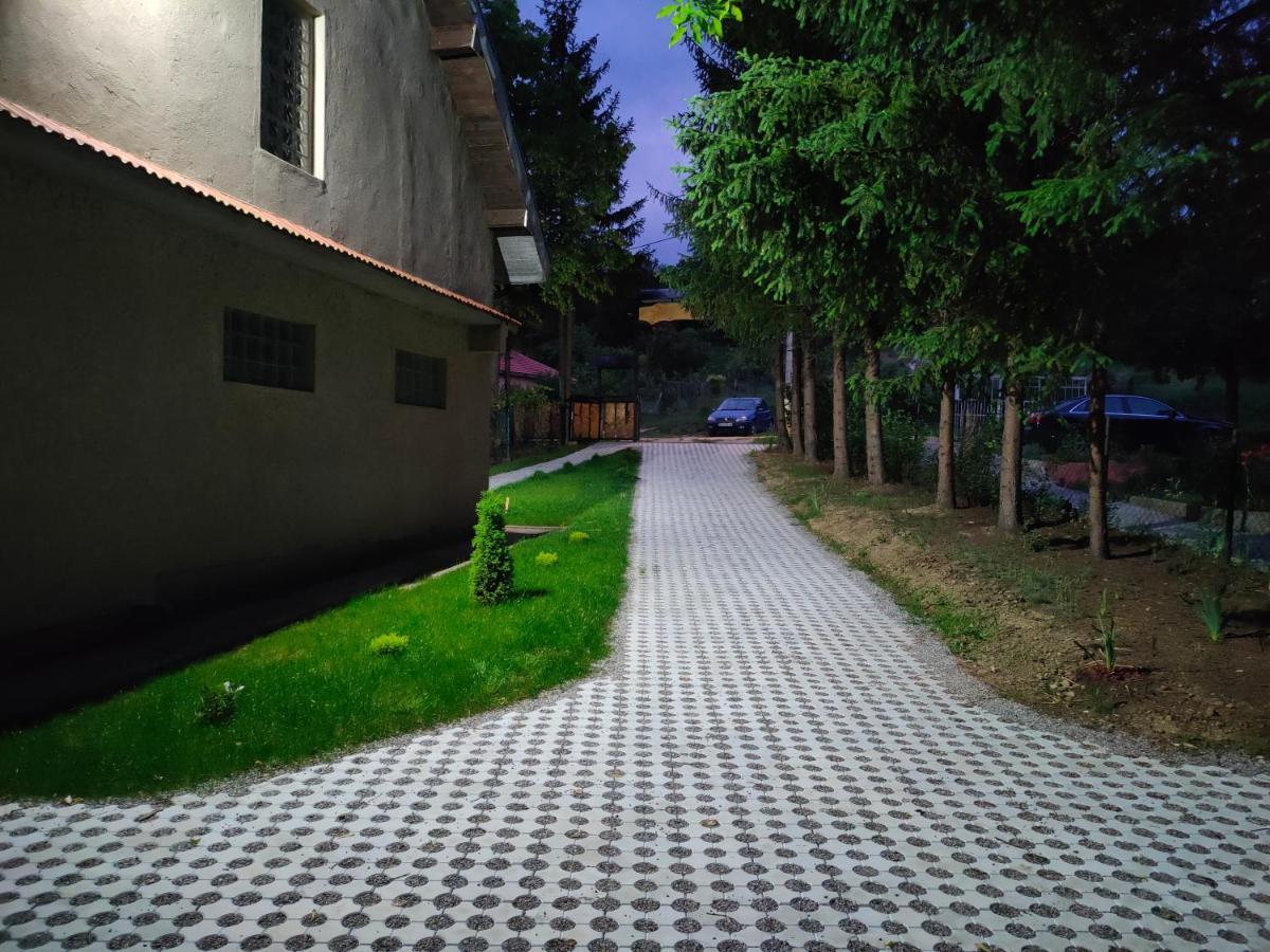 Vila Jezerski Raj Borsko Jezero ภายนอก รูปภาพ