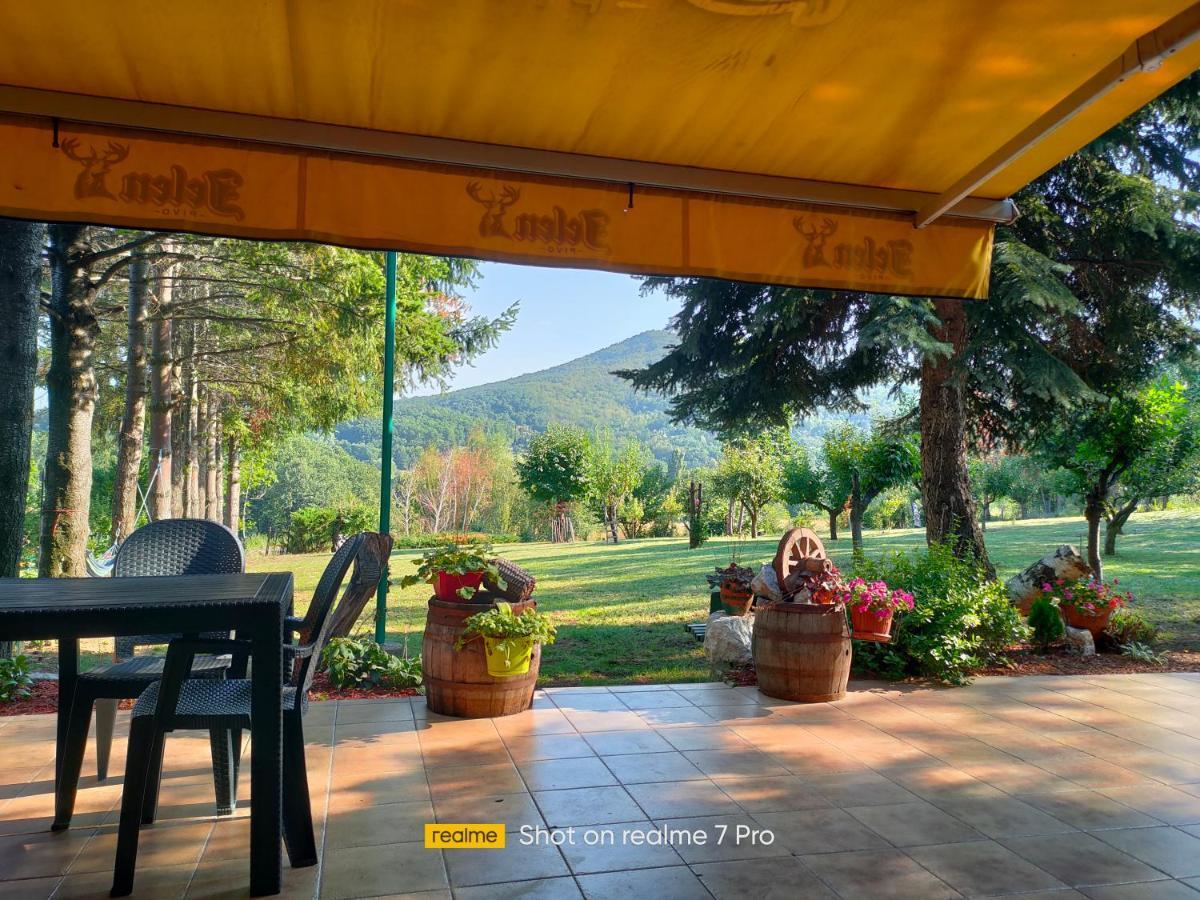 Vila Jezerski Raj Borsko Jezero ภายนอก รูปภาพ
