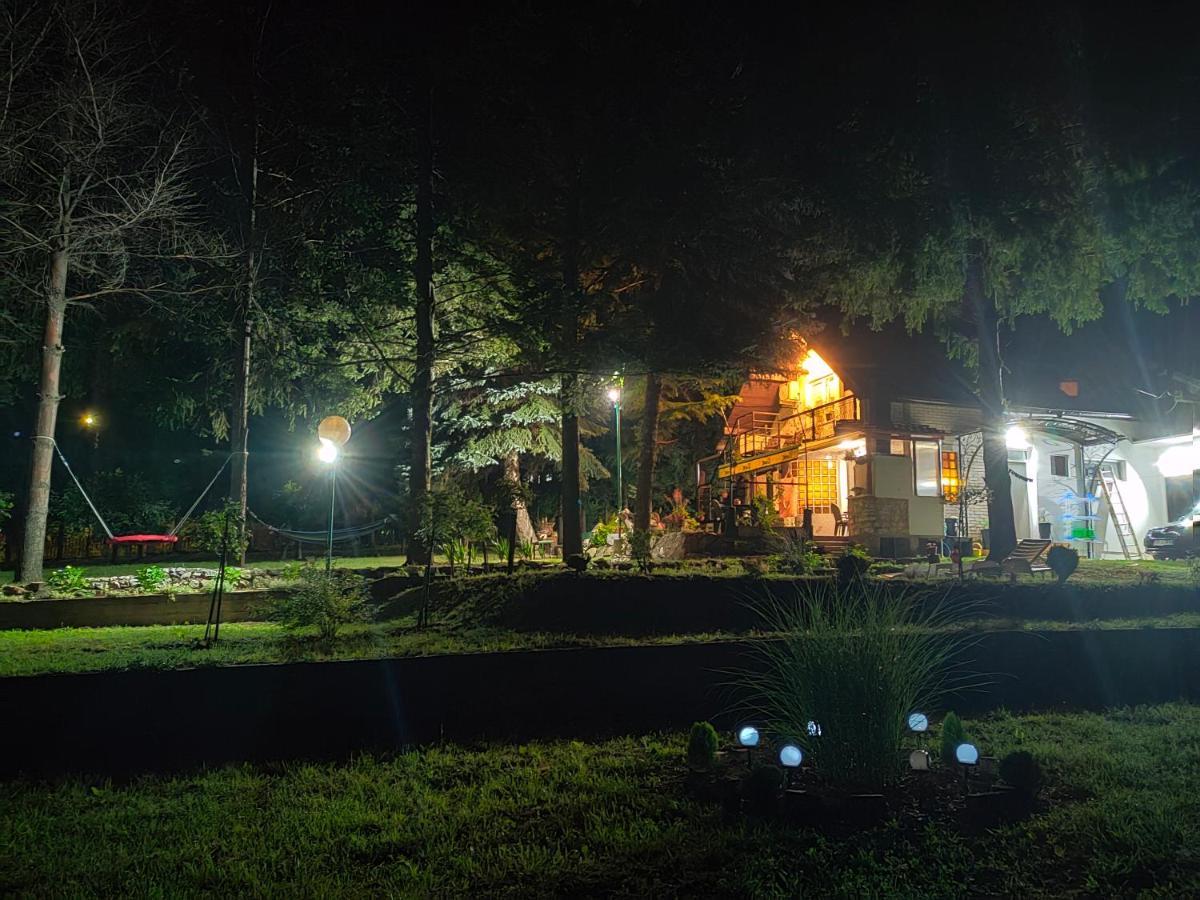 Vila Jezerski Raj Borsko Jezero ภายนอก รูปภาพ