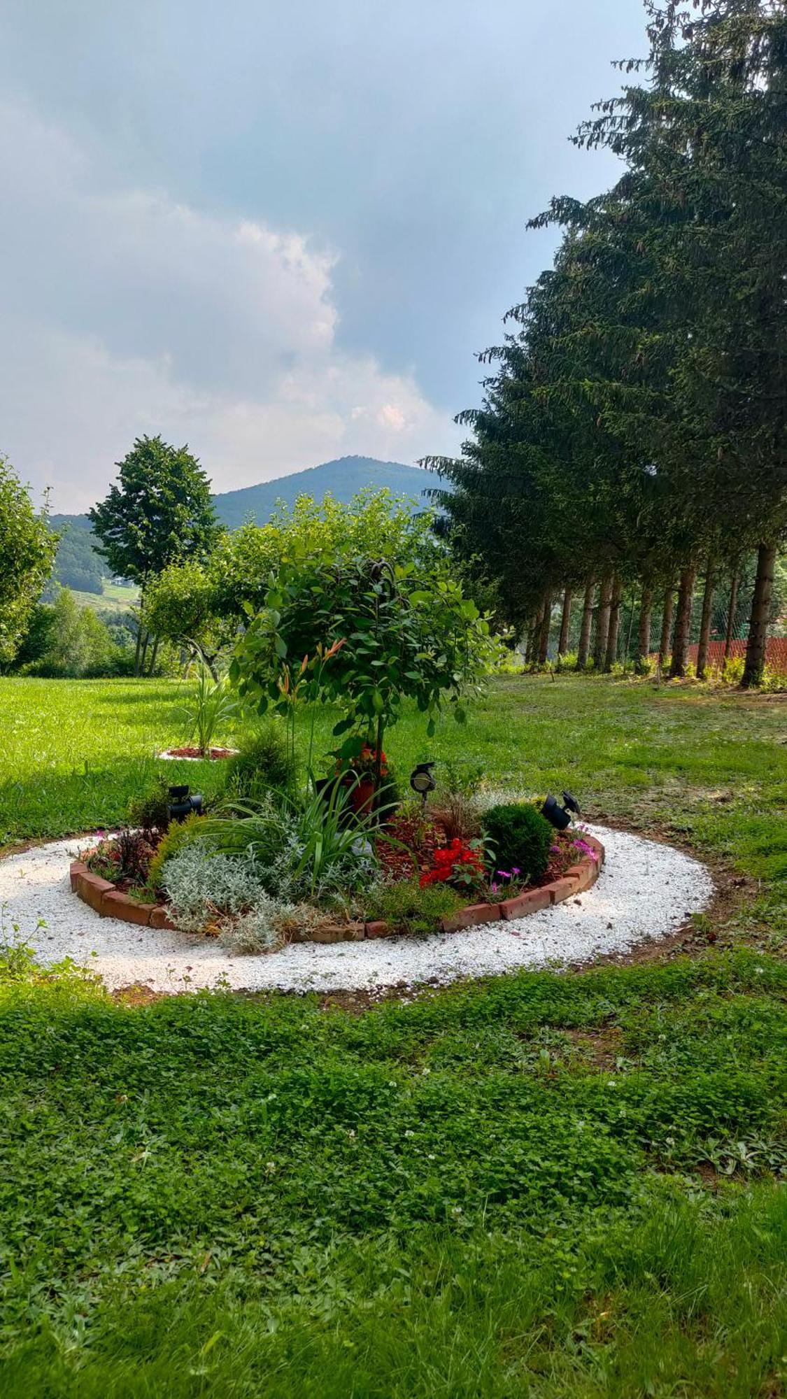 Vila Jezerski Raj Borsko Jezero ภายนอก รูปภาพ