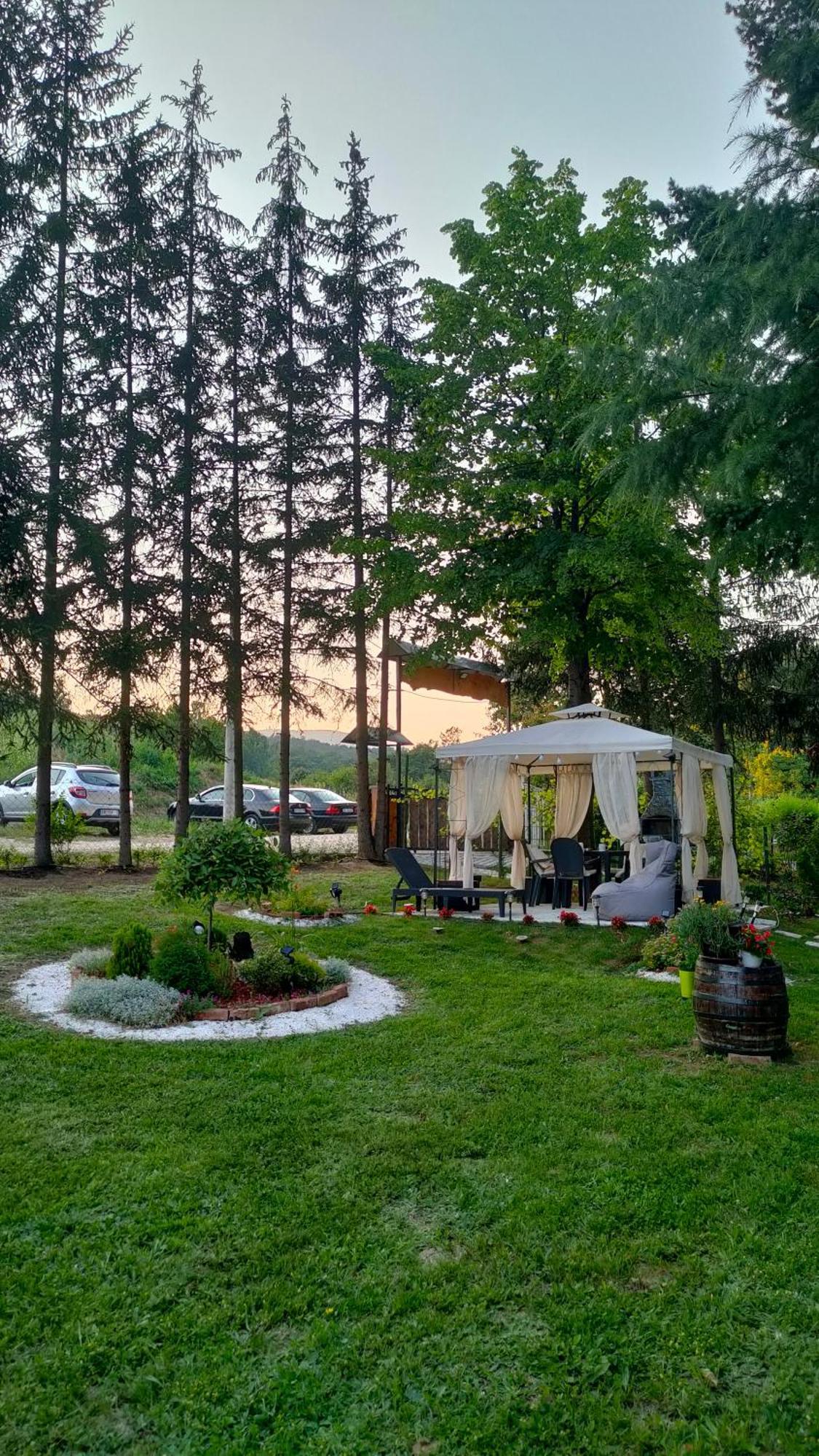 Vila Jezerski Raj Borsko Jezero ภายนอก รูปภาพ